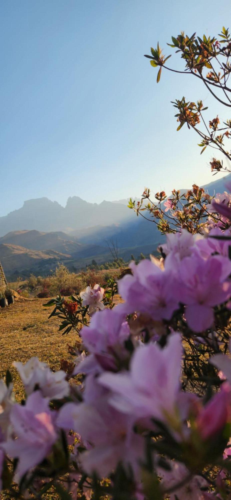 Champagne Valley Emafweni 빌라 외부 사진