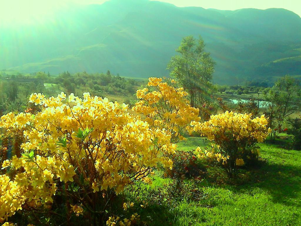 Champagne Valley Emafweni 빌라 외부 사진