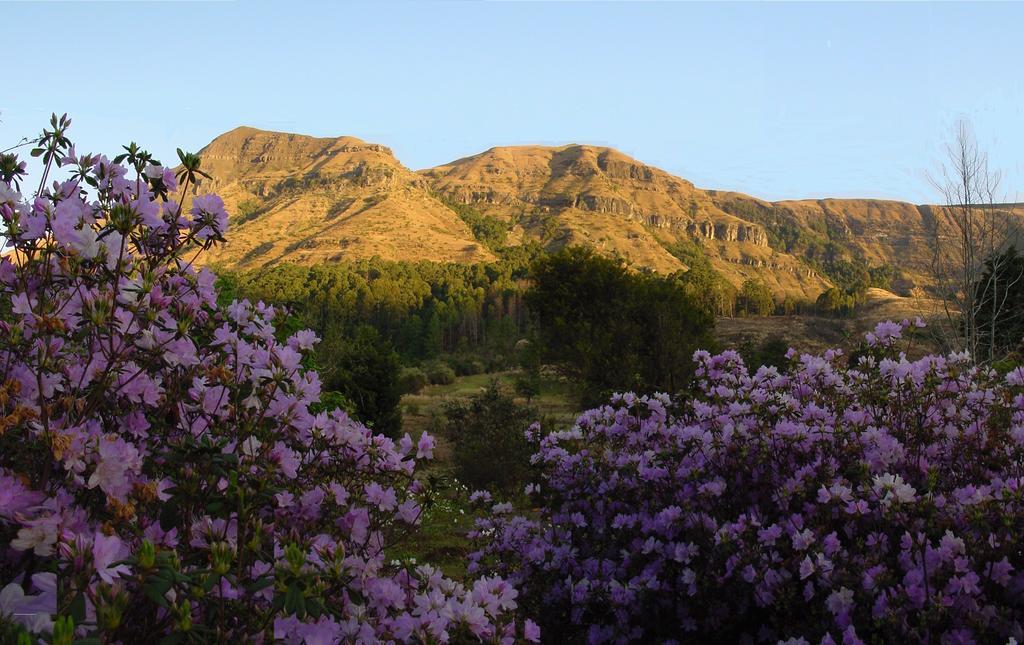 Champagne Valley Emafweni 빌라 외부 사진